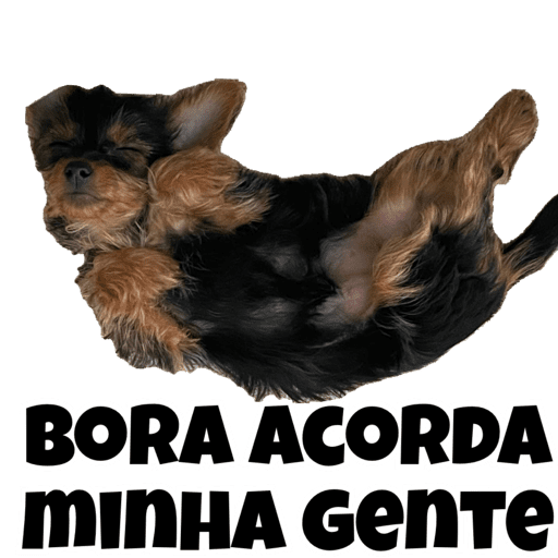 Minhas figurinhas 30