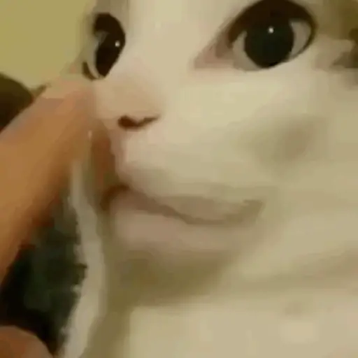 Mis pegatinas 5