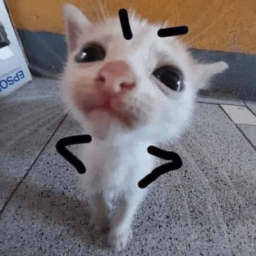 Animales random 20