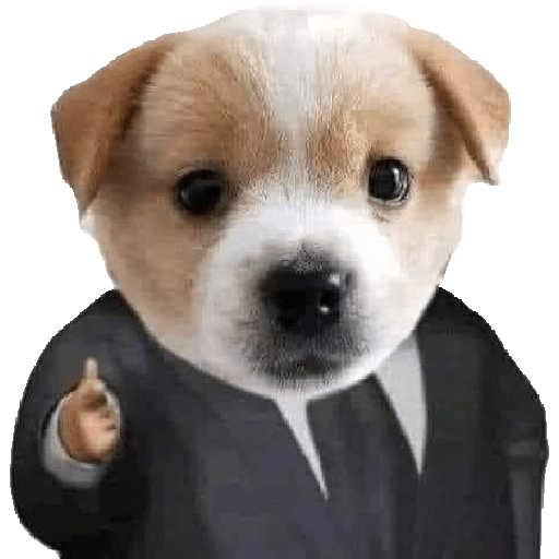 Animales random 29