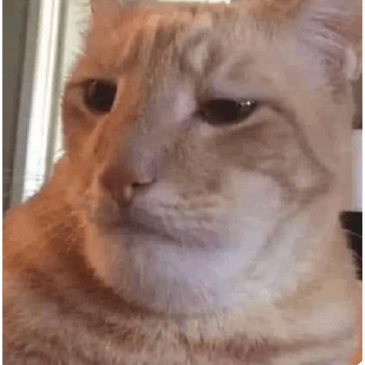 Animales random 28