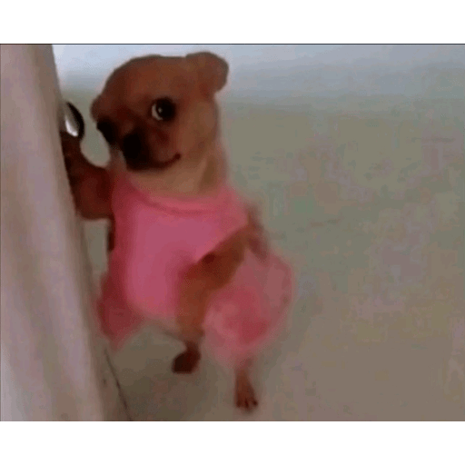 Meme reaction tiktok (3)  5