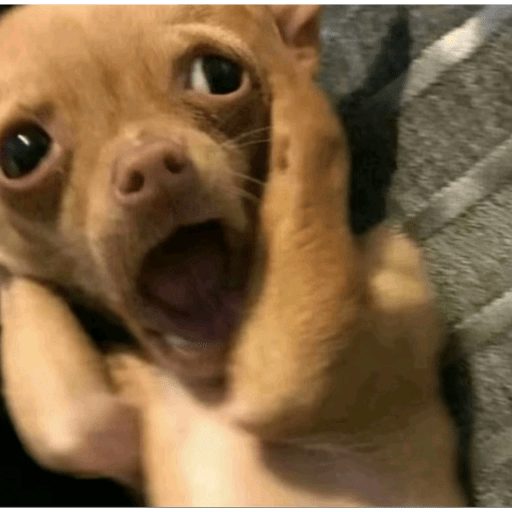 Meme reaction tiktok (3)  9