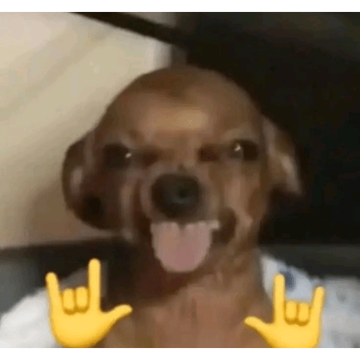 Meme reaction tiktok (3)  12