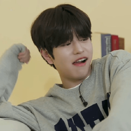 🎧   も   Seungmin  𖹭  ര Skz 15