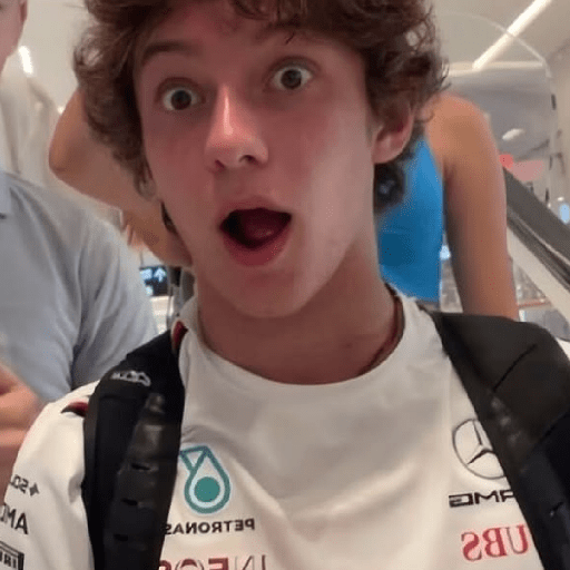 F1 memes reactions (Mercedes) 5
