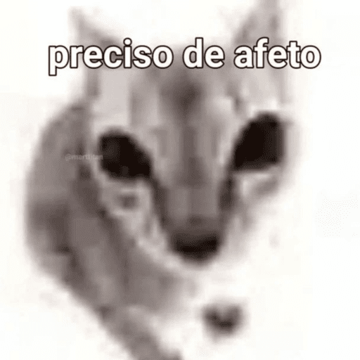 Gatinha  8