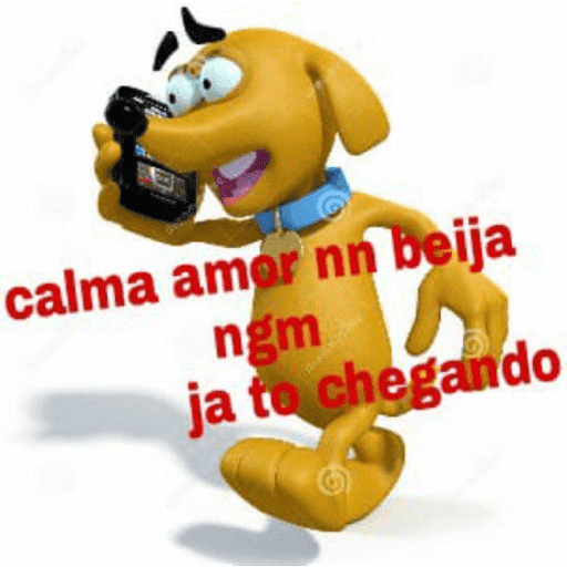 Gatinha  19