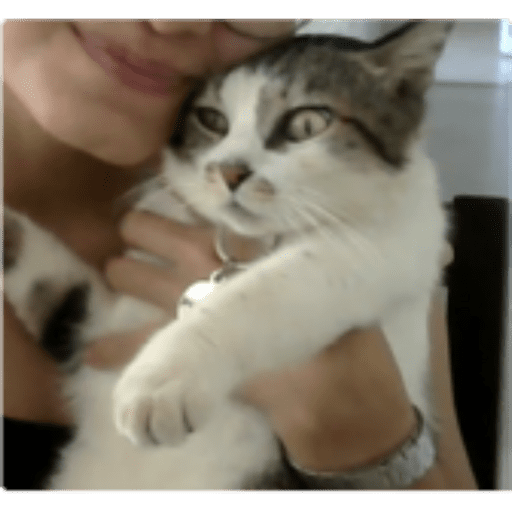 Gatinha  4