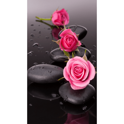 PINK 14