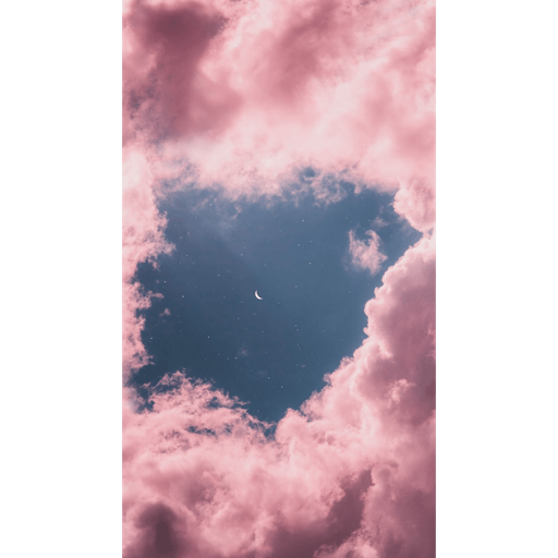 PINK 22