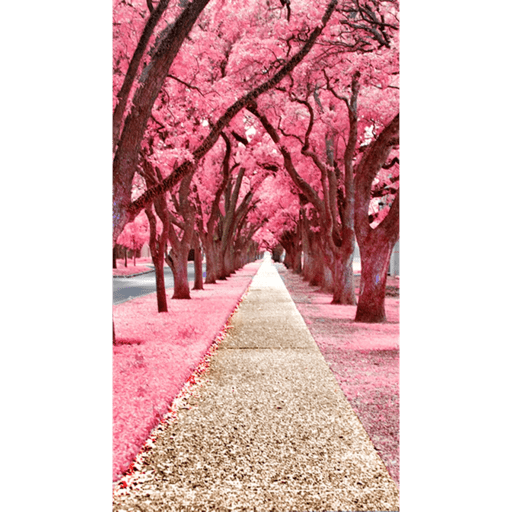 PINK 15