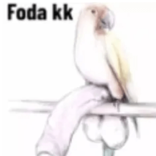 Kkk  24