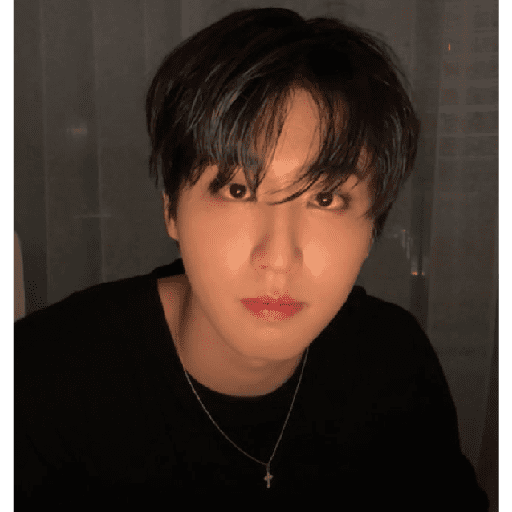 Stray kids stickers 20 8