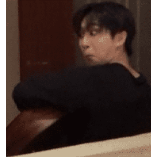 Stray kids stickers 20 7