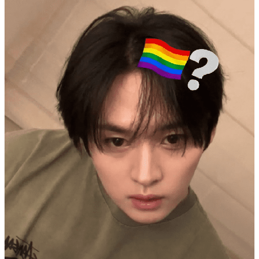 Stray kids stickers 20 22