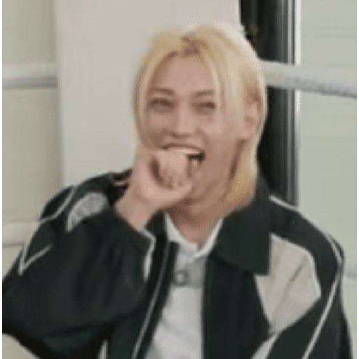 Stray kids stickers 20 24