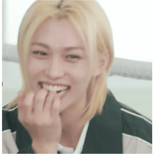 Stray kids stickers 20 25
