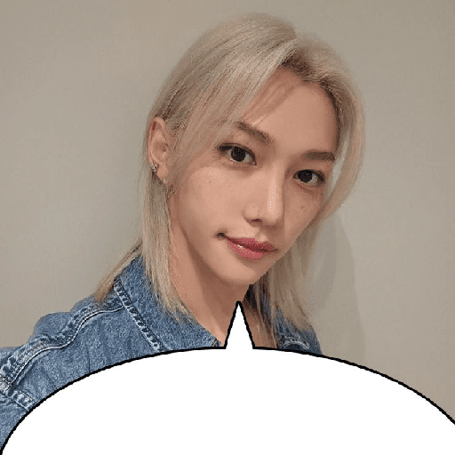 Stray kids stickers 20 26