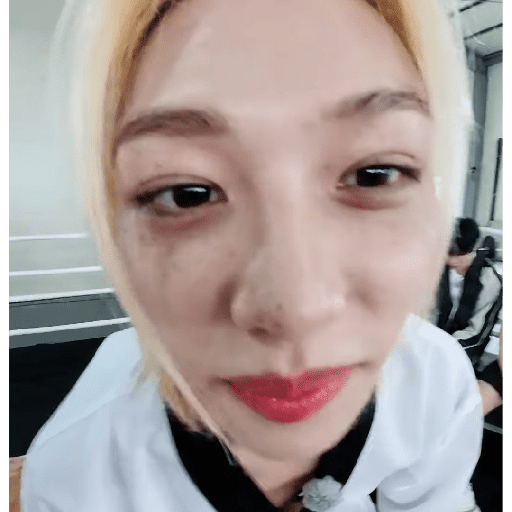 Stray kids stickers 20 27