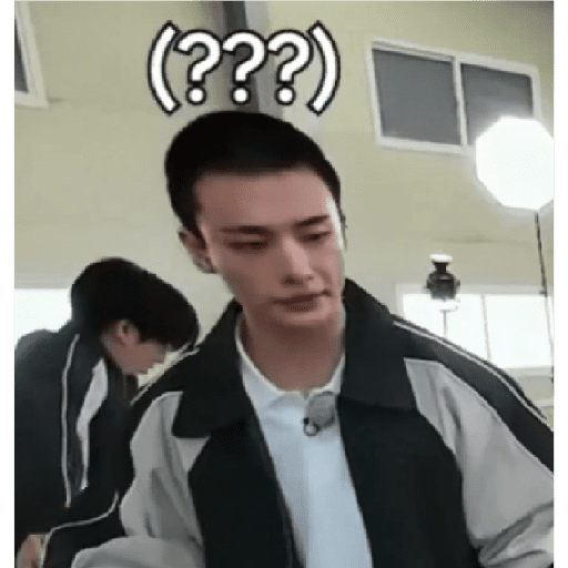 Stray kids stickers 20 28