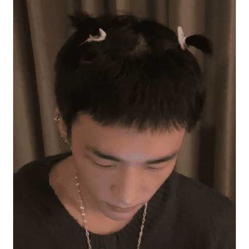 Stray kids stickers 20 29