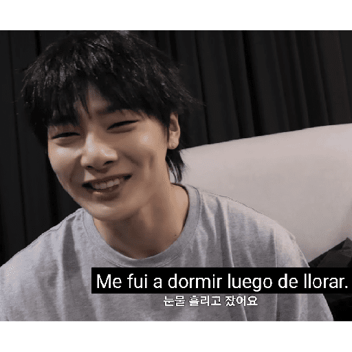 Stray kids stickers 20 11