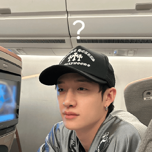 Stray kids stickers 20 16
