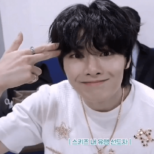 Stray kids stickers 6 21