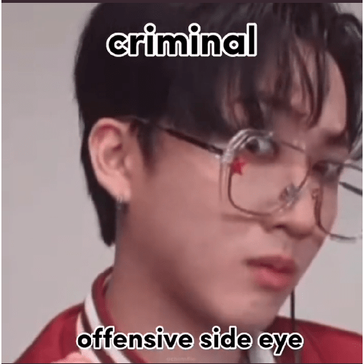 Stray kids stickers 6 17