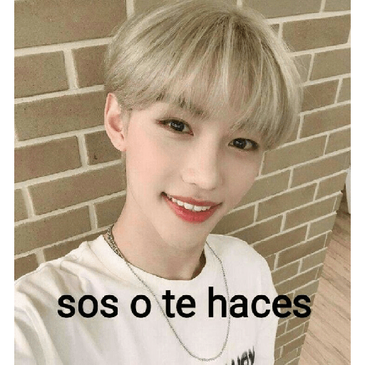 Stray kids stickers 6 6