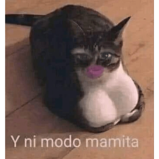 FresadenezaOG9 8