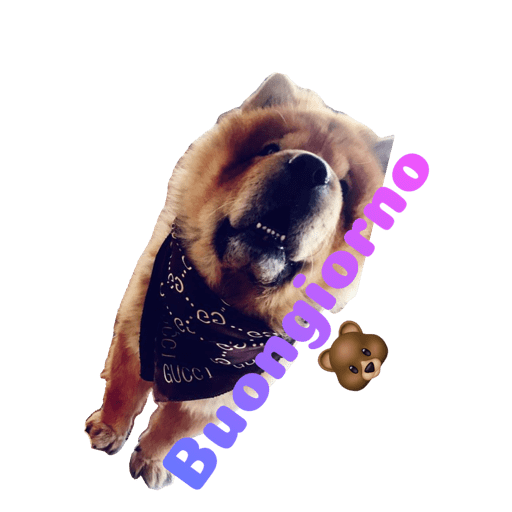 Io  2