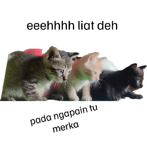 Stiker Saya 25