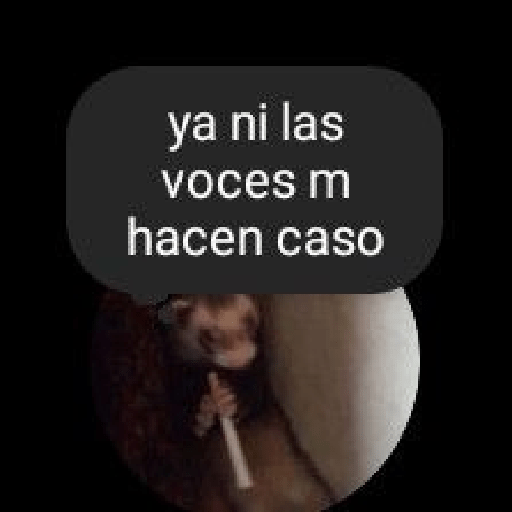 Notas ig꒱₊꒷ 4