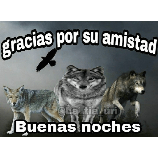 233973804.png