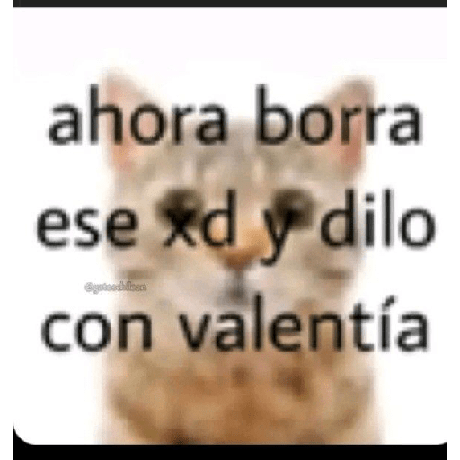 286822908.png