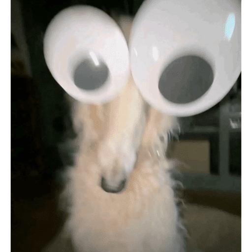 Aaaaa 3