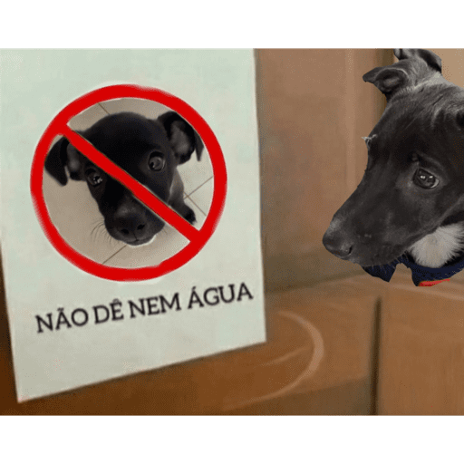 Aaaaa 13