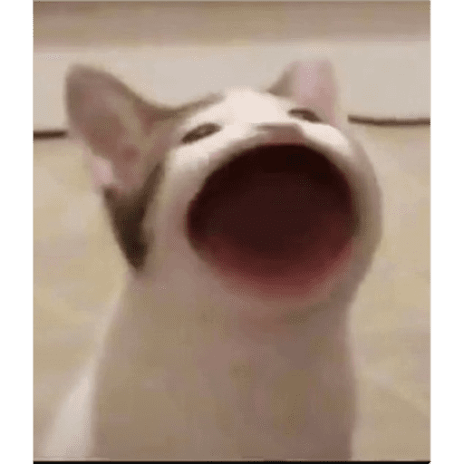 Aaaaa 10