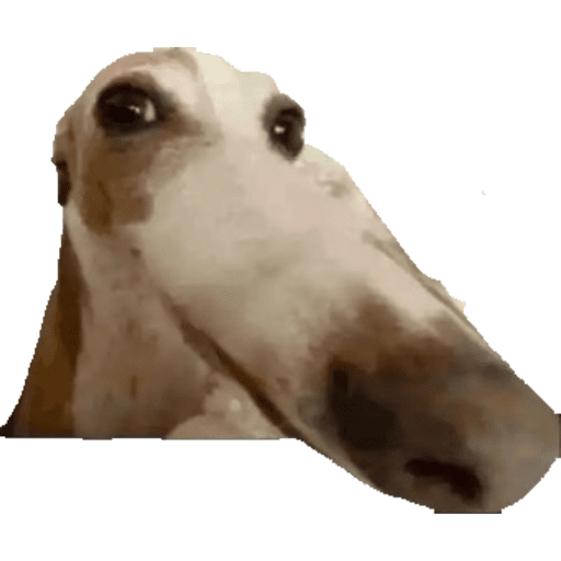 Aaaaa 7