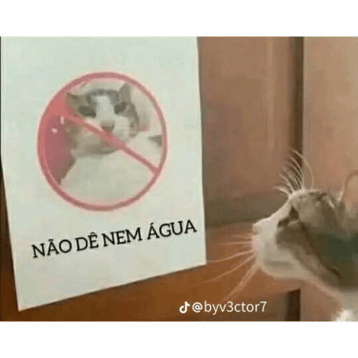 Aaaaa 12