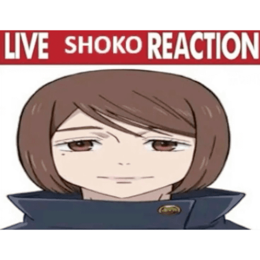 Shoko ieiri 7