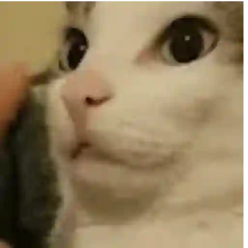 Aaaaaaaaa 2