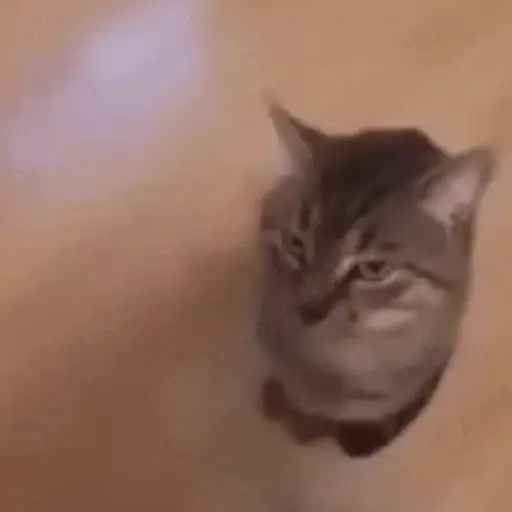 Aaaaaaaaa 17