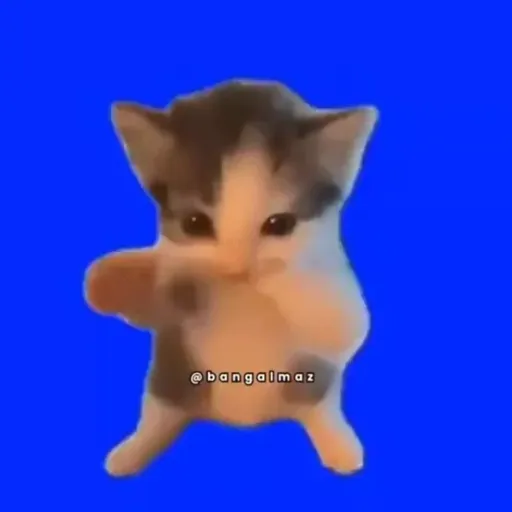 Aaaaaaaaa 14