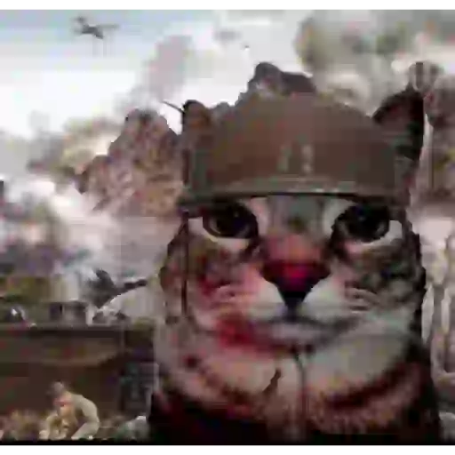 Aaaaaaaaa 6