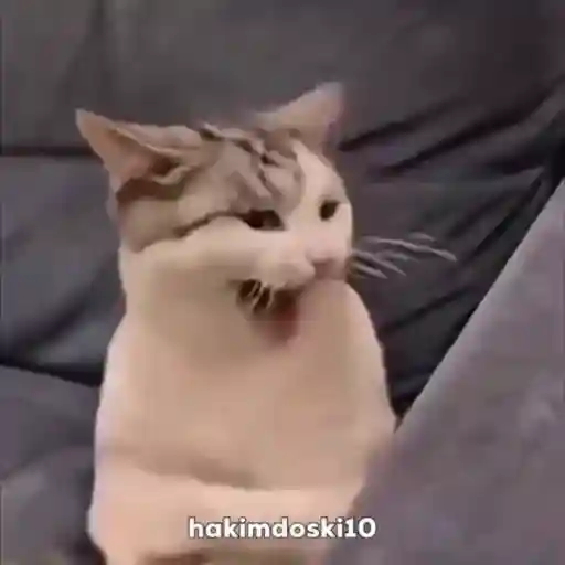 Aaaaaaaaa 15