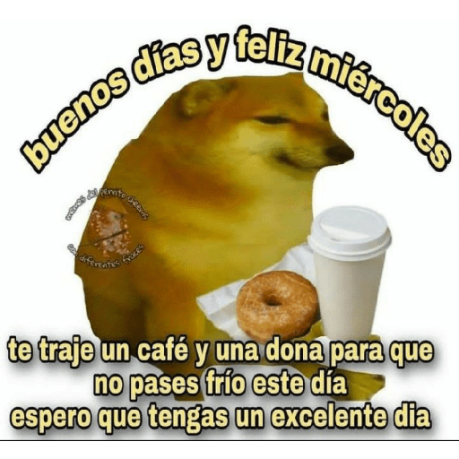 Perritos 10