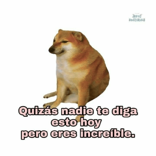 Perritos 17